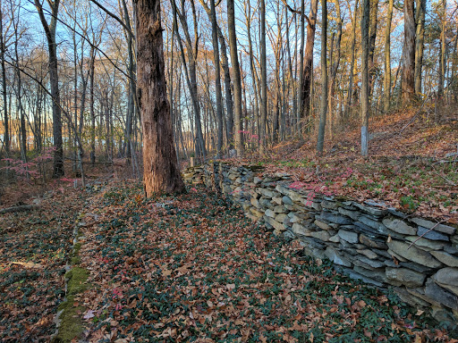 State Park «Dighton Rock State Park», reviews and photos, Bayview Ave, Berkley, MA 02779, USA