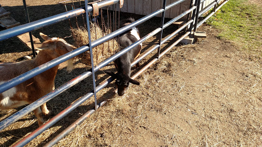 Live Music Venue «ArtsRiot», reviews and photos, 400 Pine St, Burlington, VT 05401, USA