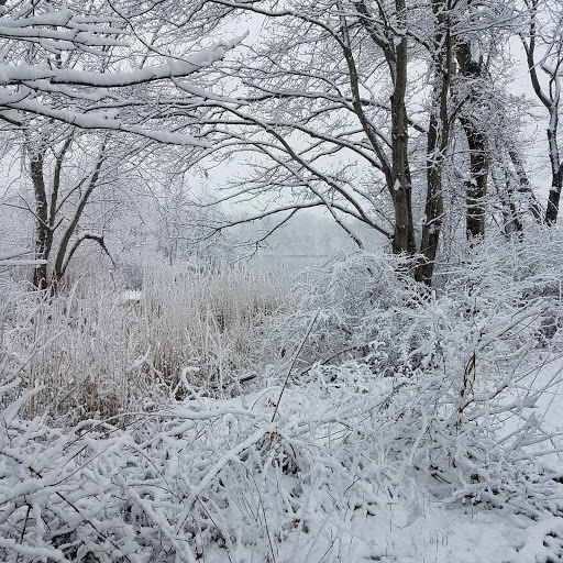 Park «Reverend Arthur Mackey Park», reviews and photos, 242 Elmwood Ave, Roosevelt, NY 11575, USA