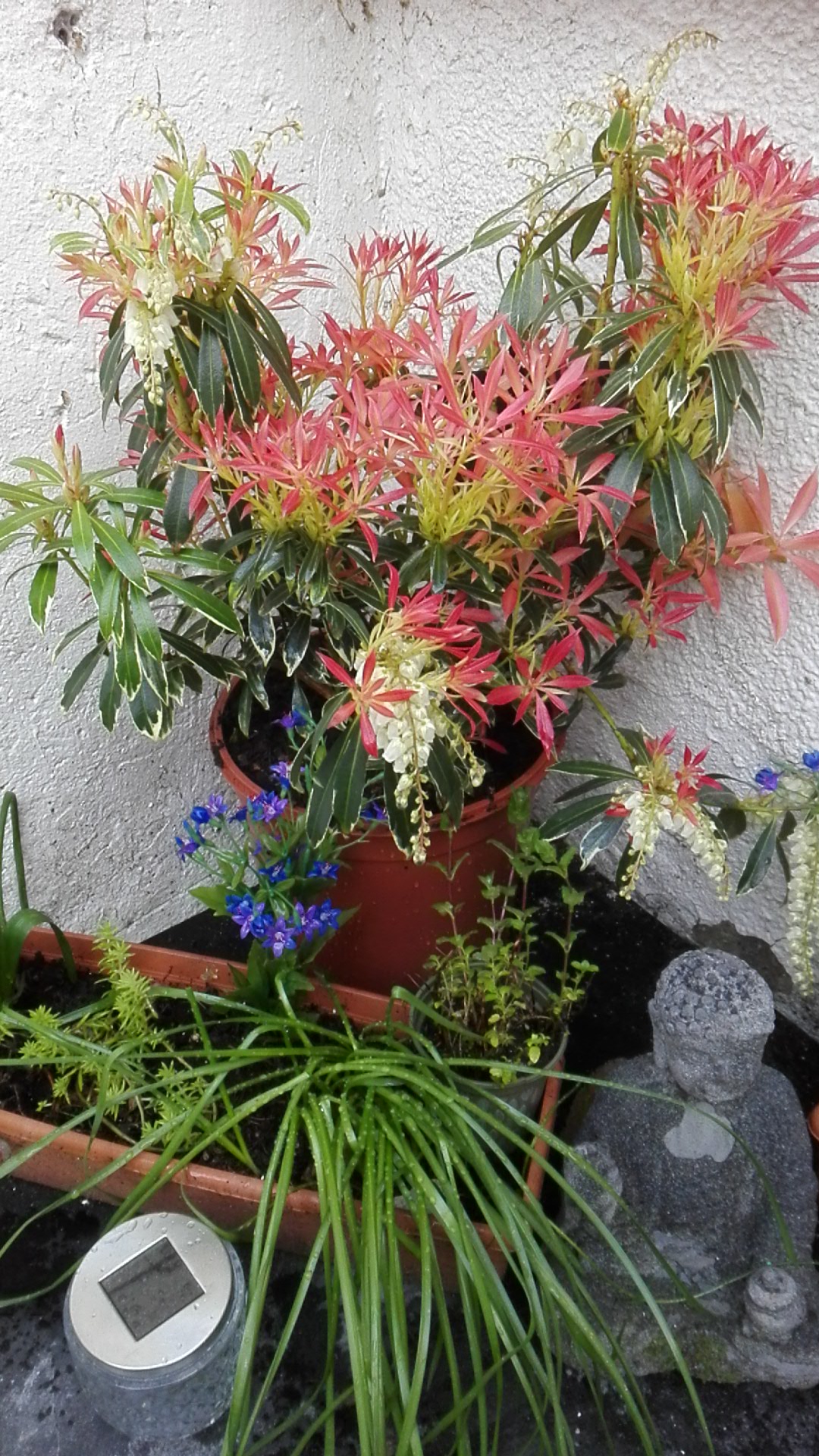 Photo n° 2 de l'avis de indra76.. fait le 29/03/2019 à 17:46