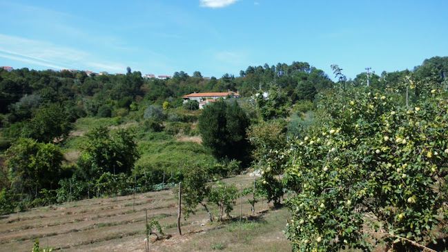 Capela Nossa Senhora dos Olivais - Igreja