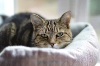 Leo Zahare Photography - Car repair in , Augusta - Rated 0.0/5