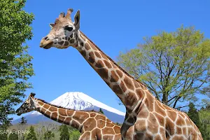 Fuji Safari Park image