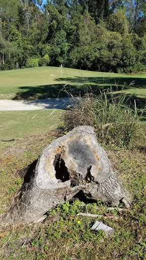 Golf Course «Witch Golf Links», reviews and photos, 1900 SC-544, Conway, SC 29526, USA