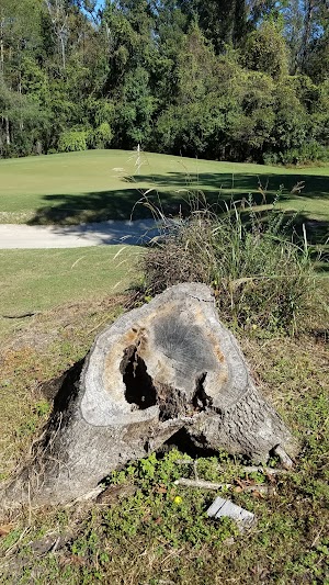 Witch Golf Links - photo 17