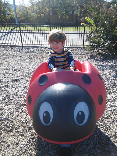 Community Center «Pigeon Forge Community Center», reviews and photos, 170 Community Center Dr, Pigeon Forge, TN 37863, USA