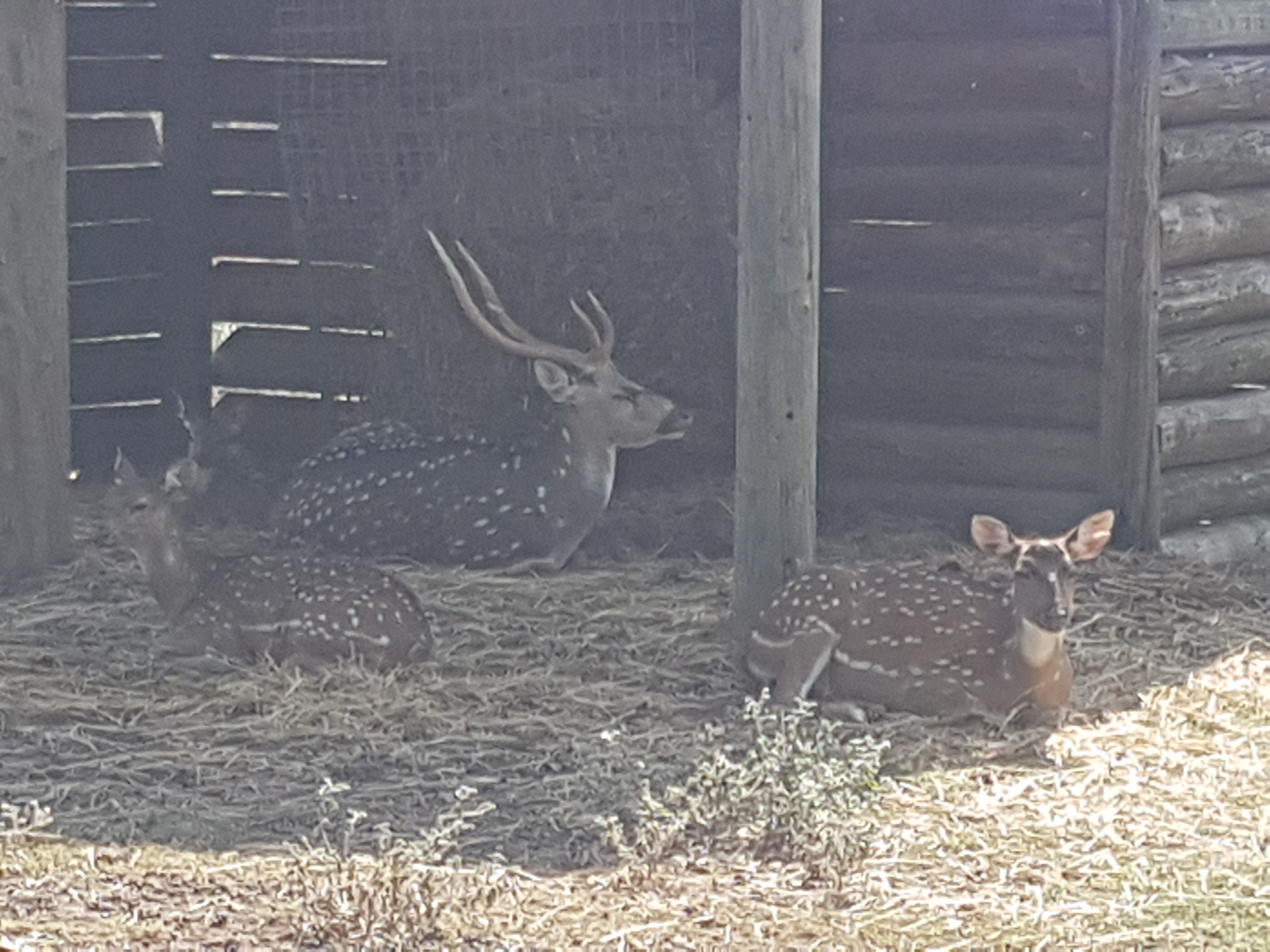 Photo n° 46 de l'avis de Armand.A fait le 09/09/2018 à 19:52