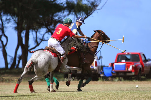 Hawaii Polo Club