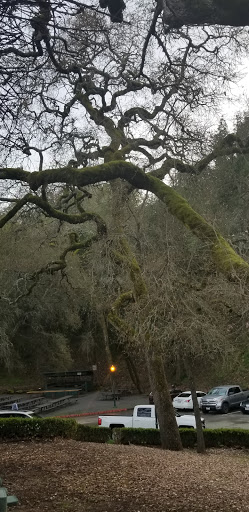 Villa Chanticleer image