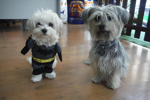 Centro Veterinario Águilas en Aguilas