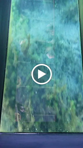 Non-Profit Organization «The Meadows Center for Water and the Environment», reviews and photos, 201 San Marcos Springs Dr, San Marcos, TX 78666, USA