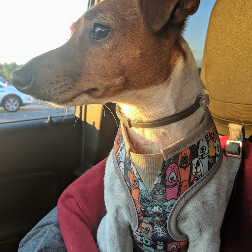 Pet Supply Store «Petco Animal Supplies», reviews and photos, 190 Quality Dr, Hooksett, NH 03106, USA