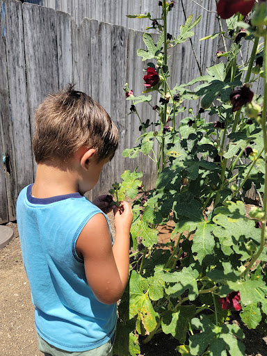 Coffee Shop «Black Lodge Coffee Roasters», reviews and photos, 610 Church St, New Harmony, IN 47631, USA