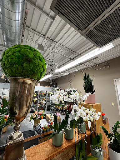 Florist «King florist of Austin», reviews and photos, 1806 W Koenig Ln, Austin, TX 78756, USA