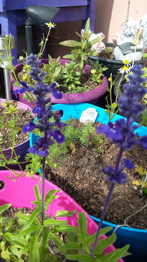 Book Store «Pipe & Thimble Bookstore», reviews and photos, 24830 Narbonne Ave, Lomita, CA 90717, USA