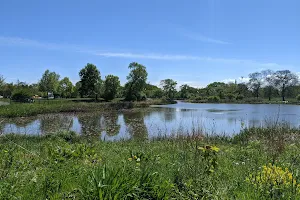 Humboldt Park Natural Area image