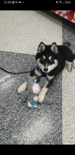 Pet Supply Store «Petco Animal Supplies», reviews and photos, 375 3rd St, San Rafael, CA 94901, USA