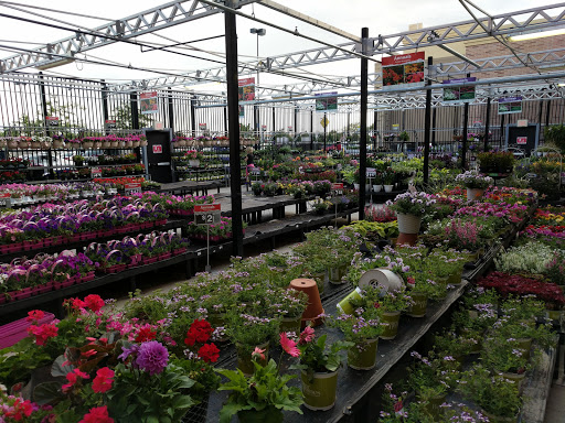 Department Store «Walmart Supercenter», reviews and photos, 10392 Fremont Pike, Perrysburg, OH 43551, USA