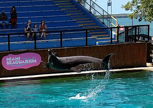 Aquarium «Miami Seaquarium», reviews and photos, 4400 Rickenbacker Causeway, Key Biscayne, FL 33149, USA