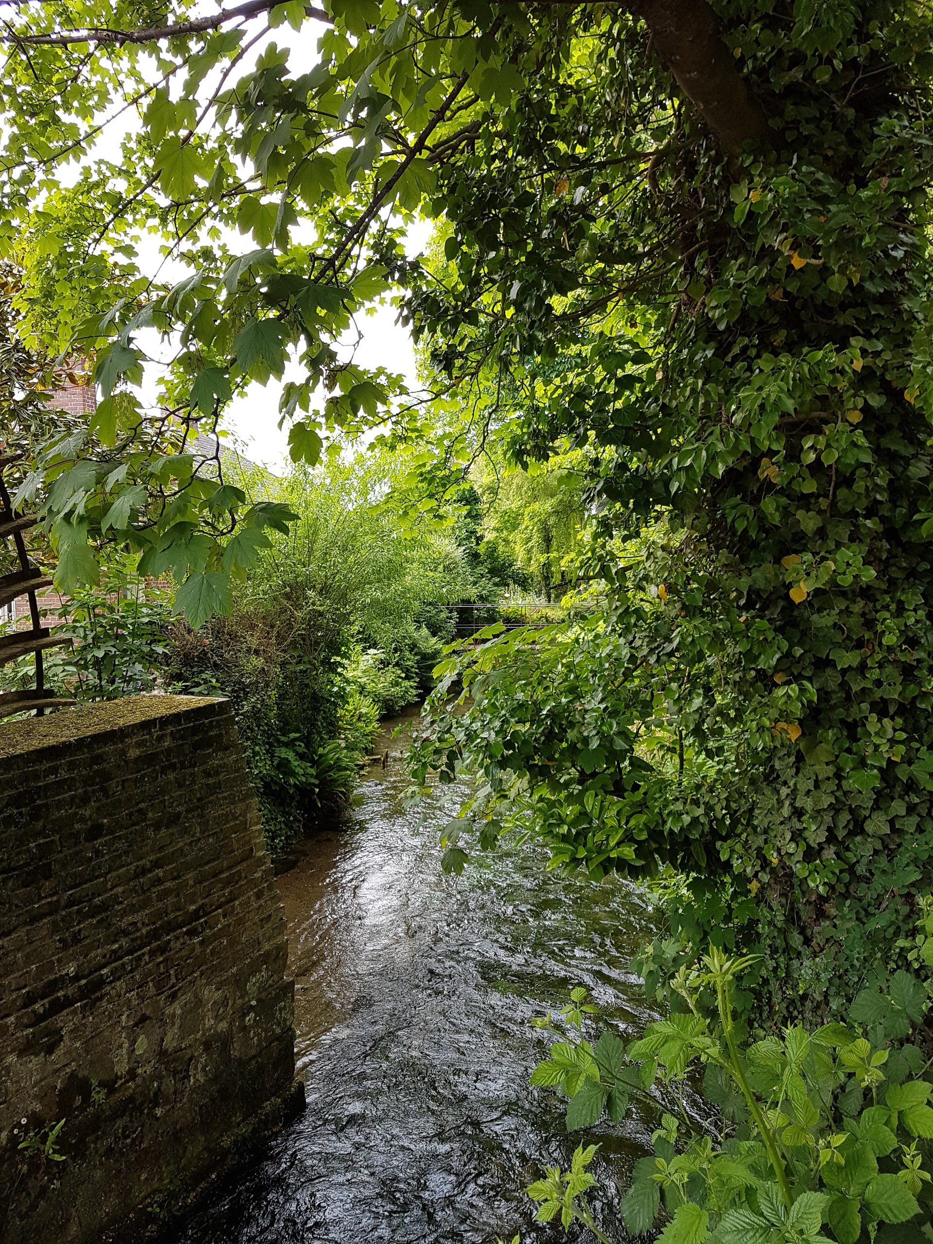 Photo n° 1 de l'avis de Thomas.r fait le 23/07/2017 à 12:52