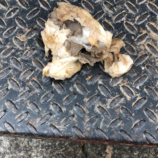 Plumber «Plumb Smart, Inc.», reviews and photos, 175 Goldfinch Path, Acworth, GA 30101, USA