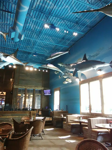 Sporting Goods Store «Bass Pro Shops», reviews and photos, 1 Bass Pro Dr, Bristol, TN 37621, USA