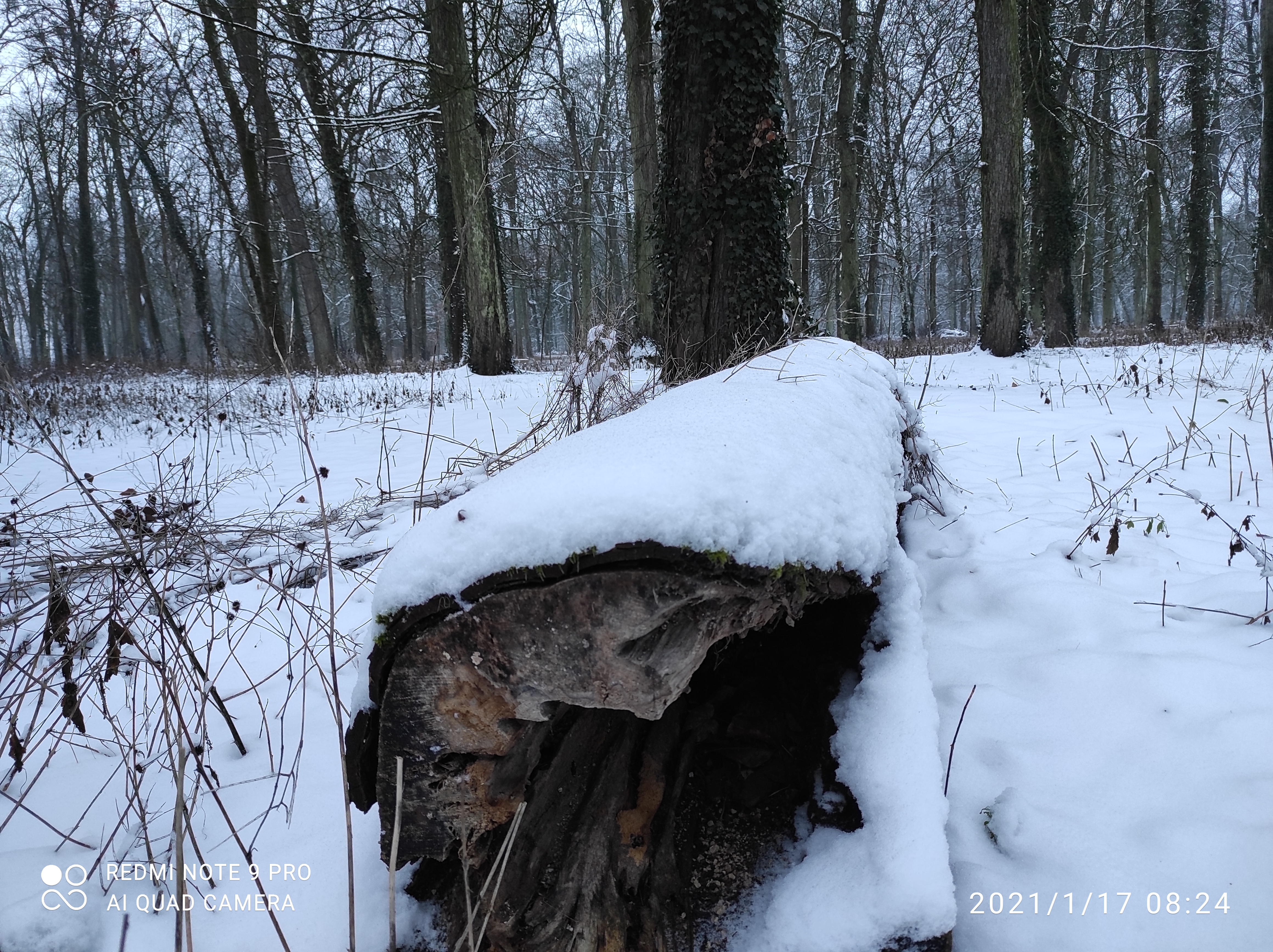 Photo n° 9 de l'avis de AsphaltSTAR. fait le 19/10/2020 à 11:24