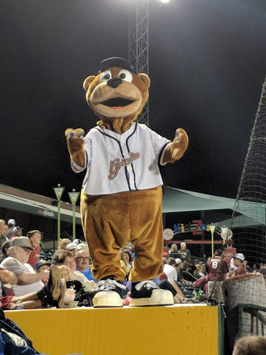 Stadium «GCS Ballpark», reviews and photos, 2301 Grizzlie Bear Blvd, Sauget, IL 62206, USA