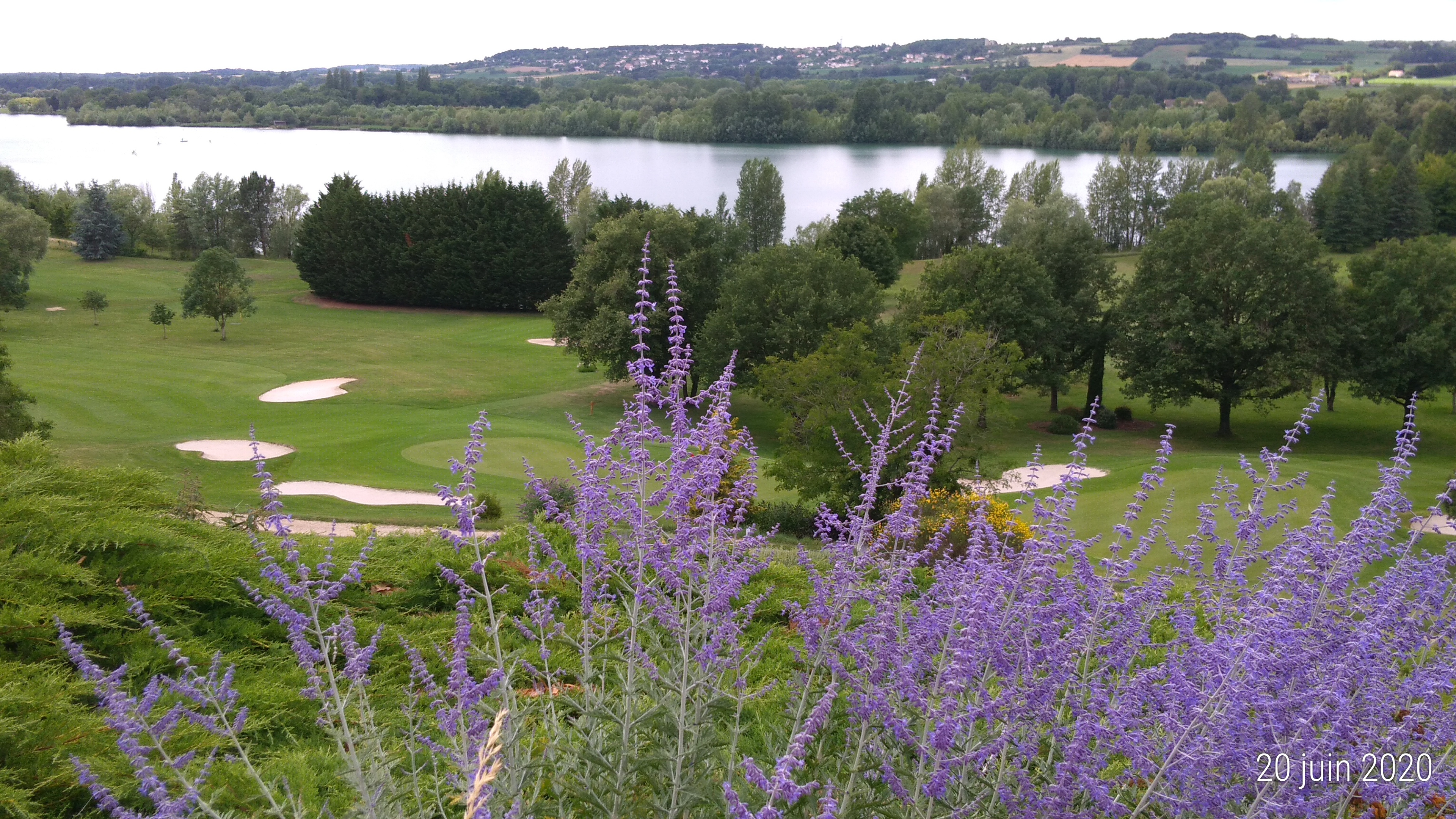 Photo n° 1 de l'avis de manceau. fait le 21/06/2020 à 15:34