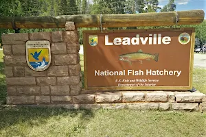 Leadville National Fish Hatchery image