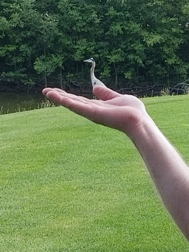 Banquet Hall «White Pines Country Club», reviews and photos, 500 W Jefferson St, Bensenville, IL 60106, USA