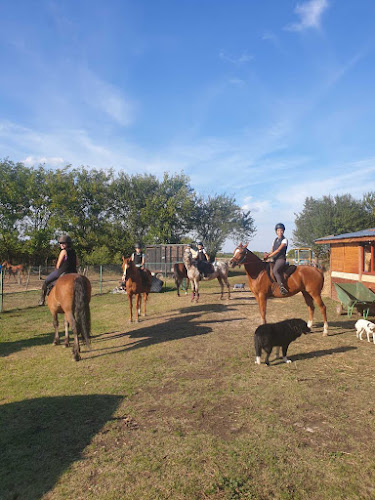 Отзиви за Horse riding club “Ruse Endurance” в Русе - Спортен комплекс