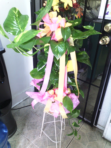 Florist «Flowers by Monica», reviews and photos, 9210 Homestead Rd a, Houston, TX 77016, USA