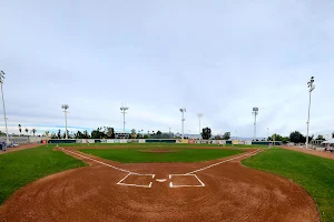 Palm Springs Power Baseball image