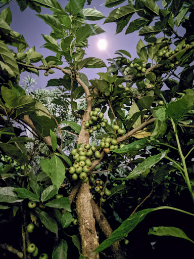 Top 20 cửa hàng bishop Quận Hà Đông Hà Nội 2022