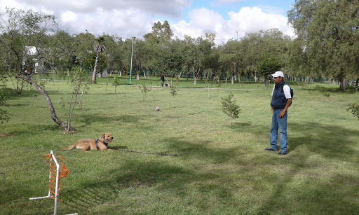 Club Canino Parque De La Familia