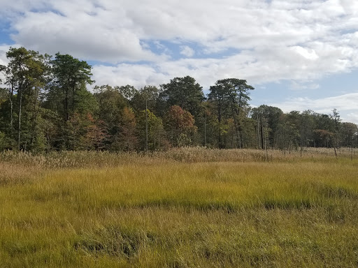 Nature Preserve «Eldora Nature Preserve», reviews and photos, 2350 NJ-47, Delmont, NJ 08314, USA