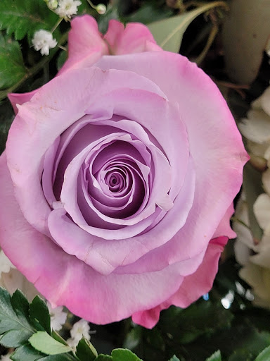 Florist «A Kitty & Family Florists», reviews and photos, 12 Eltingville Blvd, Staten Island, NY 10312, USA