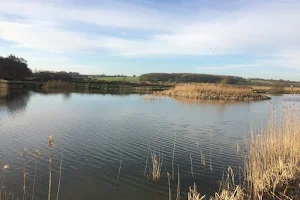 Swan Lake Somerset image