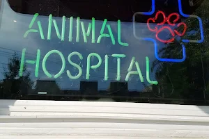Mobile Vet Clinic-NOW AAA PET SERVICES image