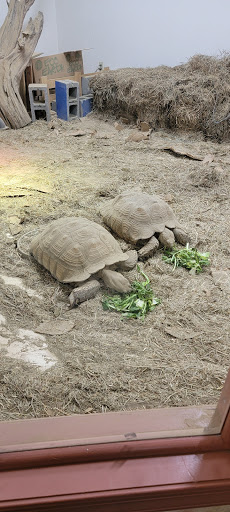 Pet Supply Store «Living Things», reviews and photos, 3437 PA-309, Orefield, PA 18069, USA