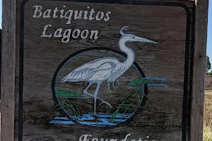 Batiquitos Lagoon Foundation image
