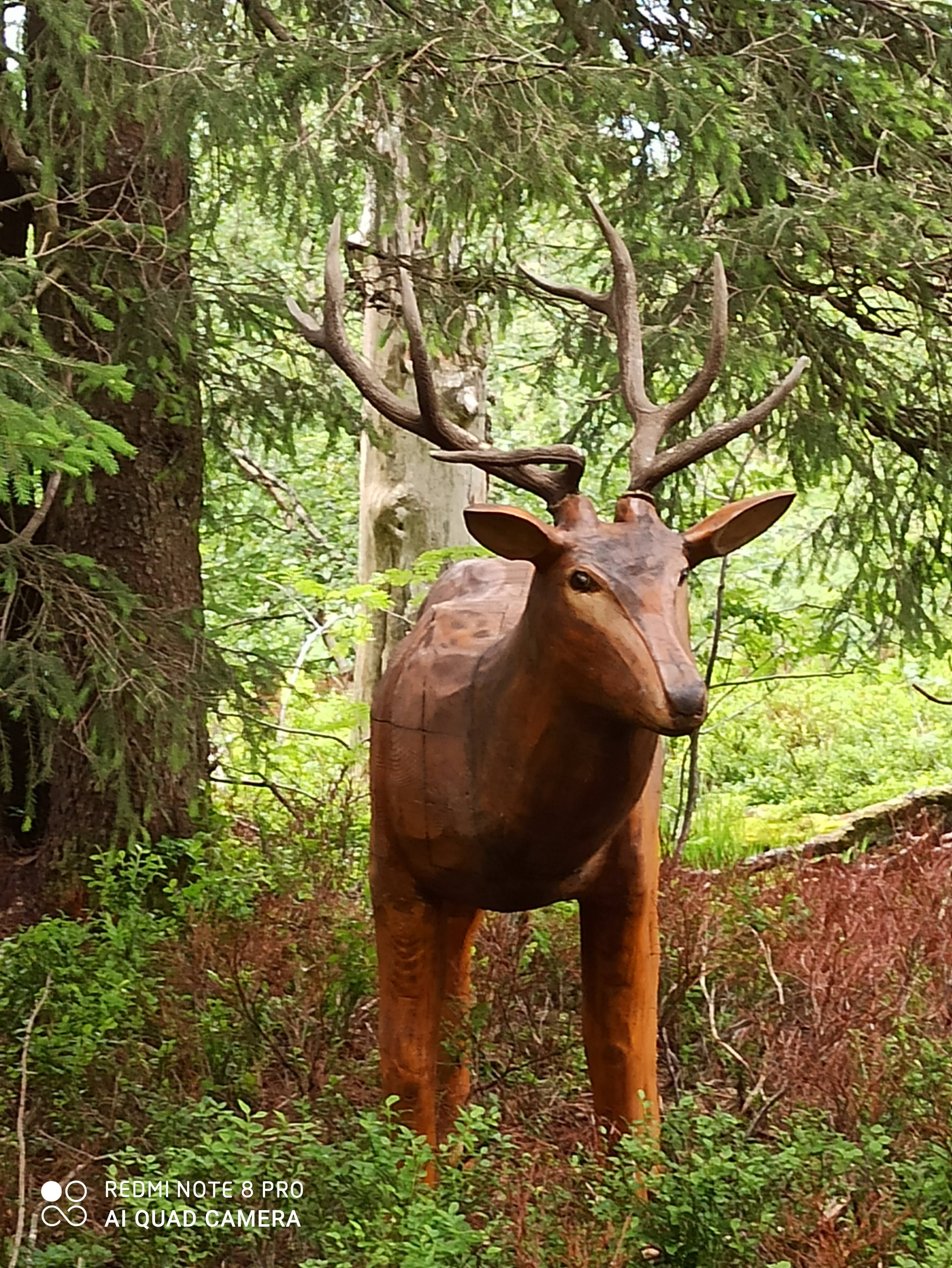 Photo n° 3 de l'avis de Stéphanie.r fait le 13/07/2020 à 21:01