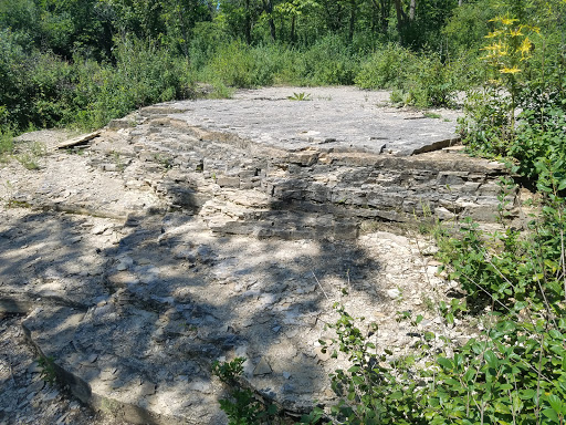Education «River Bend Nature Center», reviews and photos, 1000 Rustad Road, Faribault, MN 55021, USA
