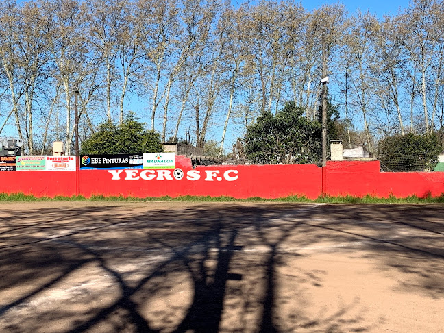 Opiniones de Cancha De Yegros en Montevideo - Campo de fútbol