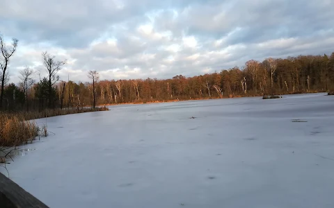 Rezerwat przyrody Na Torfach im. Janusza Kozłowskiego w Karczewie image