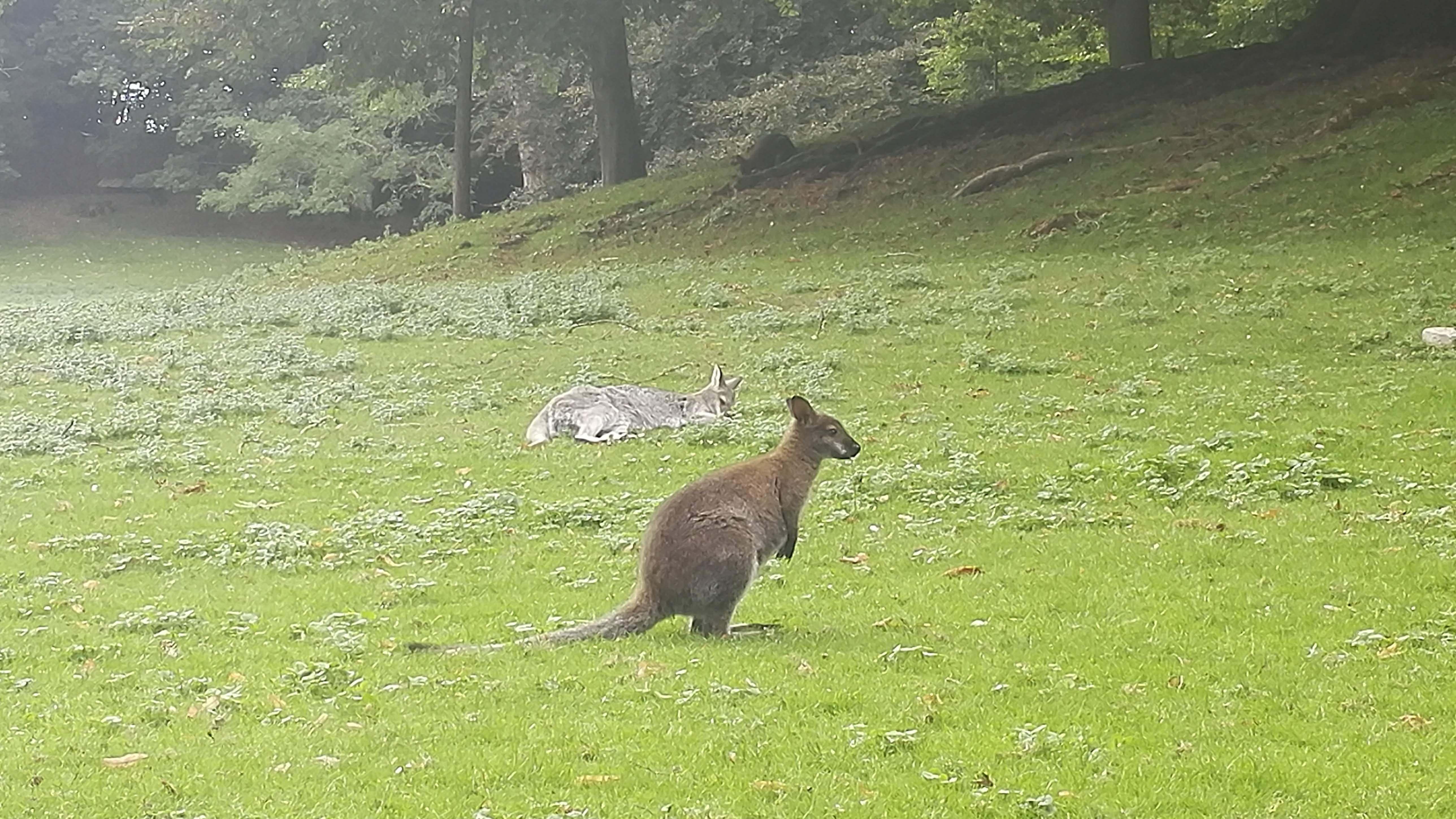 Photo n° 3 de l'avis de laurent.e fait le 24/09/2018 à 16:59