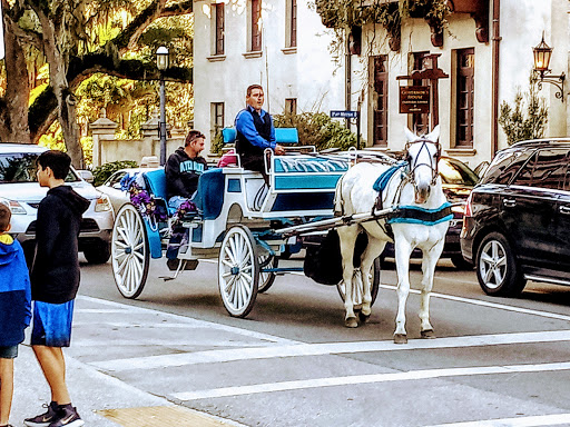 Gift Shop «Artsy Abode at St Augustine», reviews and photos, 41 King St, St Augustine, FL 32084, USA