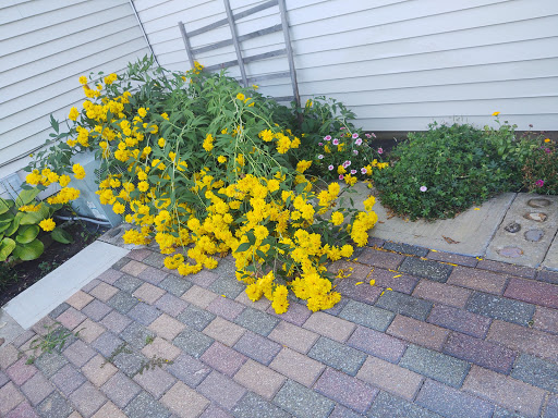 Home Improvement Store «The Home Depot», reviews and photos, 4447 US-14, Crystal Lake, IL 60014, USA