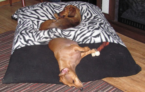 Gigi's Burrow Beds, Inc